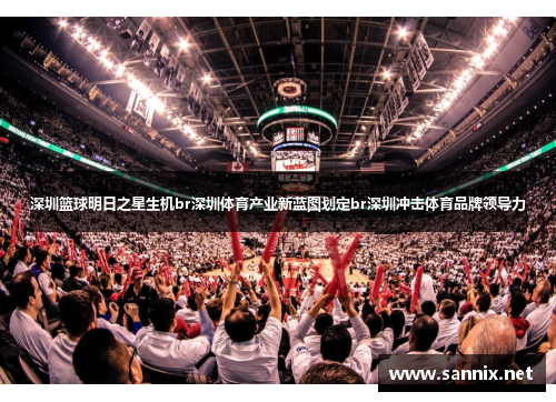 深圳篮球明日之星生机br深圳体育产业新蓝图划定br深圳冲击体育品牌领导力